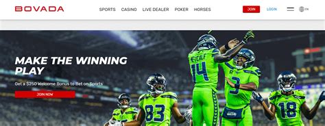Bovada Users .
